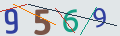 verifycode